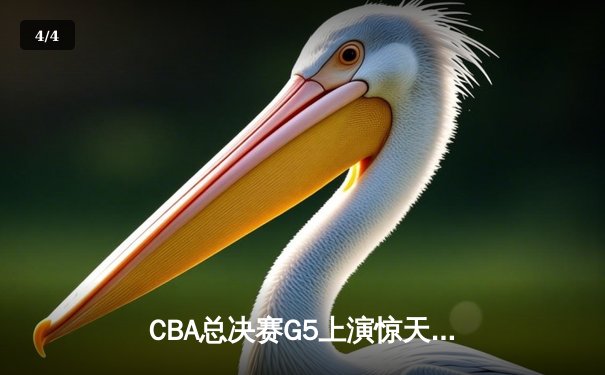 CBA总决赛G5上演惊天逆转 辽宁本钢加时苦战卫冕总冠军 - 4